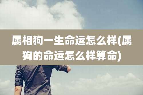 属相狗一生命运怎么样(属狗的命运怎么样算命)