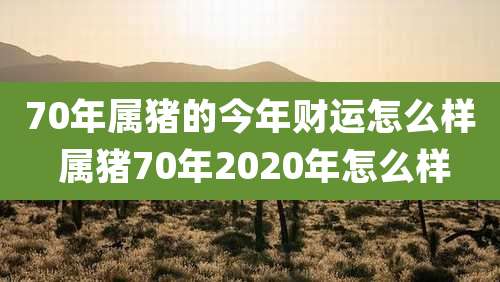 70年属猪的今年财运怎么样 属猪70年2020年怎么样