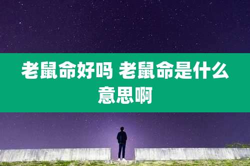 老鼠命好吗 老鼠命是什么意思啊