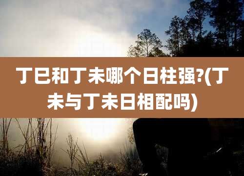 丁巳和丁未哪个日柱强?(丁未与丁未日相配吗)