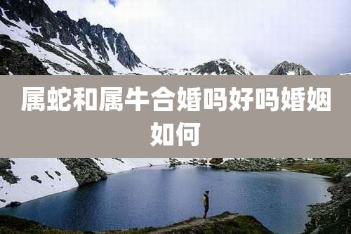 属蛇和属牛合婚吗好吗婚姻如何