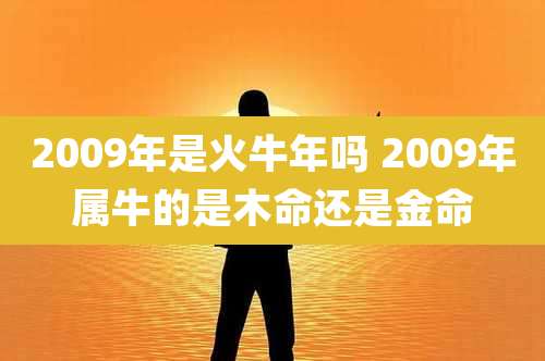 2009年是火牛年吗 2009年属牛的是木命还是金命