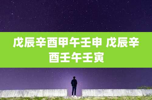 戊辰辛酉甲午壬申 戊辰辛酉壬午壬寅