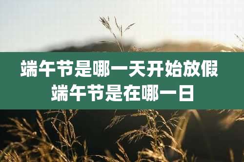 端午节是哪一天开始放假 端午节是在哪一日