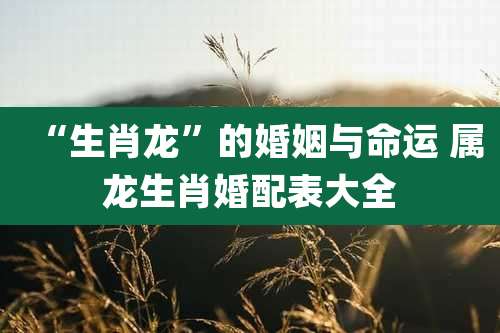 “生肖龙”的婚姻与命运 属龙生肖婚配表大全