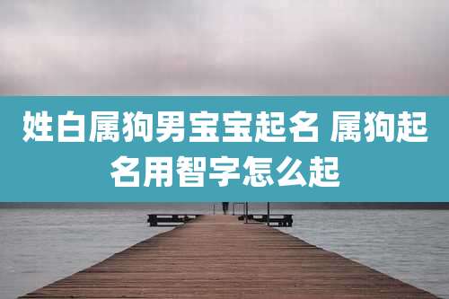 姓白属狗男宝宝起名 属狗起名用智字怎么起
