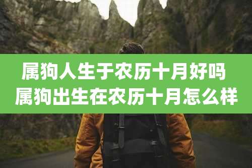 属狗人生于农历十月好吗 属狗出生在农历十月怎么样