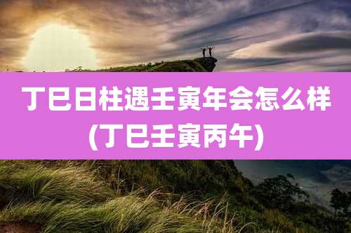 丁巳日柱遇壬寅年会怎么样(丁巳壬寅丙午)