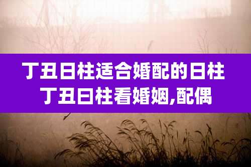 丁丑日柱适合婚配的日柱 丁丑曰柱看婚姻,配偶