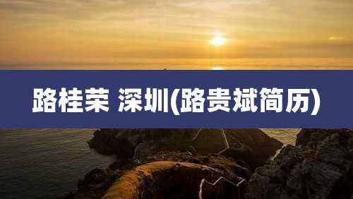 路桂荣 深圳(路贵斌简历)