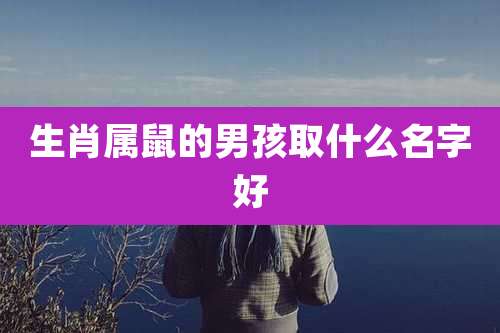 生肖属鼠的男孩取什么名字好