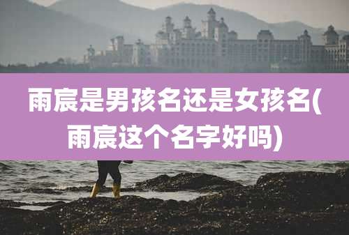 雨宸是男孩名还是女孩名(雨宸这个名字好吗)