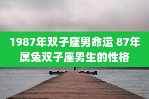 1987年双子座男命运 87年属兔双子座男生的性格
