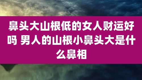 鼻头大山根低的女人财运好吗 男人的山根小鼻头大是什么鼻相