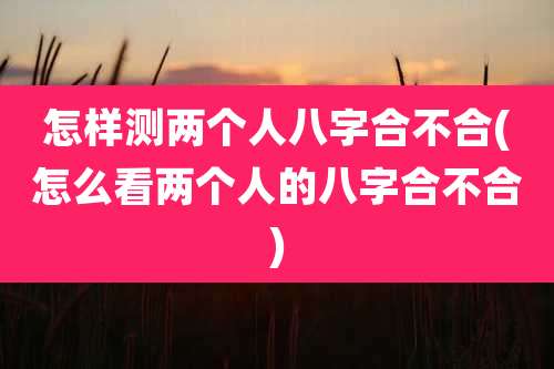 怎样测两个人八字合不合(怎么看两个人的八字合不合)
