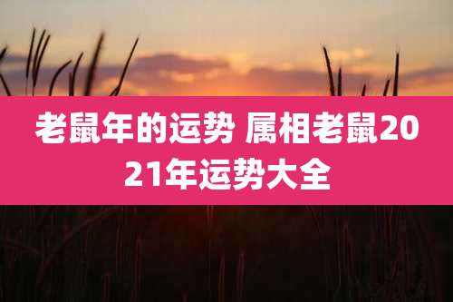 老鼠年的运势 属相老鼠2021年运势大全