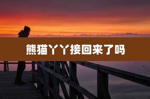 熊猫丫丫接回来了吗