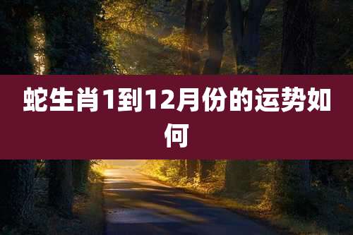 蛇生肖1到12月份的运势如何