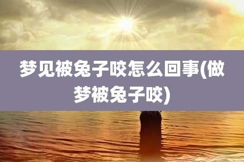梦见被兔子咬怎么回事(做梦被兔子咬)