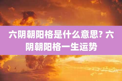 六阴朝阳格是什么意思? 六阴朝阳格一生运势