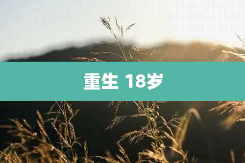 重生 18岁