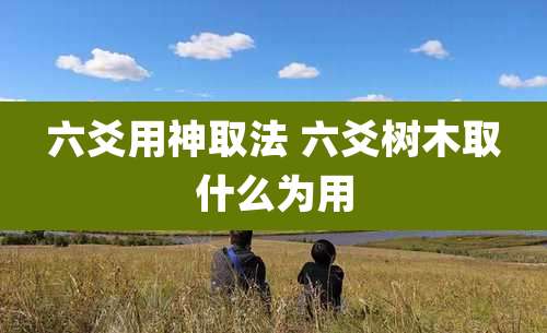 六爻用神取法 六爻树木取什么为用