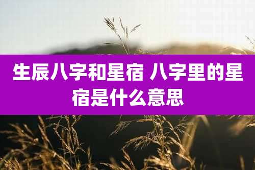生辰八字和星宿 八字里的星宿是什么意思
