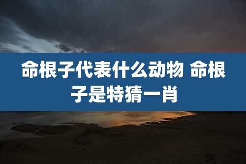 命根子代表什么动物 命根子是特猜一肖