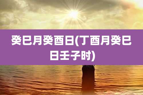 癸巳月癸酉日(丁酉月癸巳日壬子时)