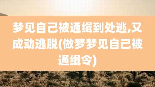 梦见自己被通缉到处逃,又成动逃脱(做梦梦见自己被通缉令)
