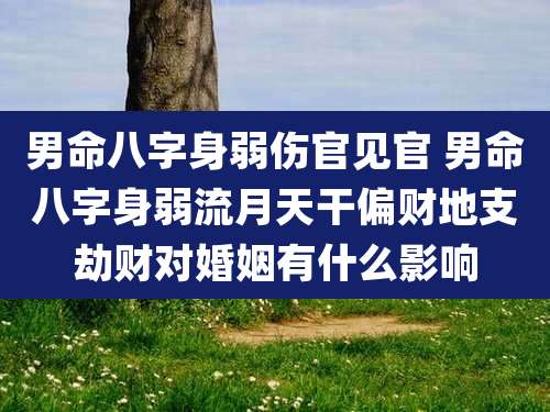 男命八字身弱伤官见官 男命八字身弱流月天干偏财地支劫财对婚姻有什么影响