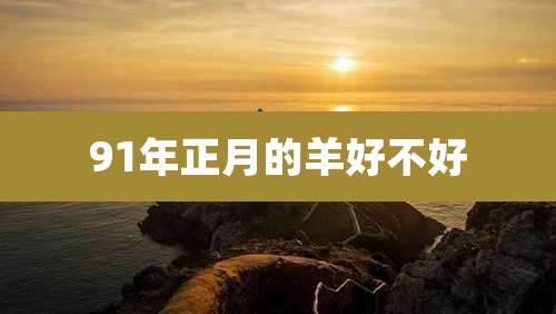 91年正月的羊好不好