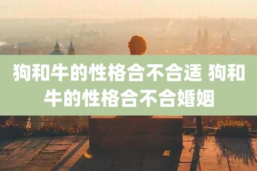 狗和牛的性格合不合适 狗和牛的性格合不合婚姻