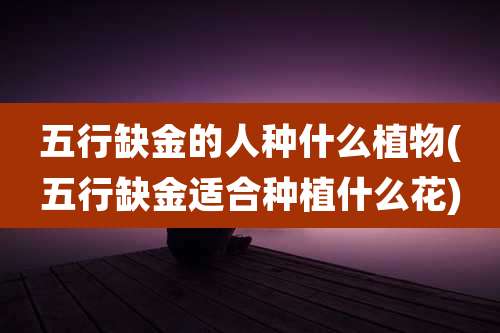 五行缺金的人种什么植物(五行缺金适合种植什么花)