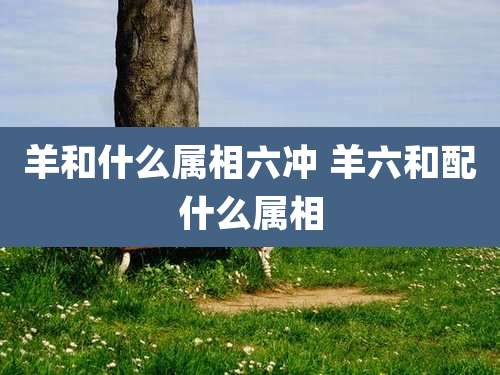 羊和什么属相六冲 羊六和配什么属相