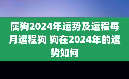 属狗2024年运势及运程每月运程狗 狗在2024年的运势如何