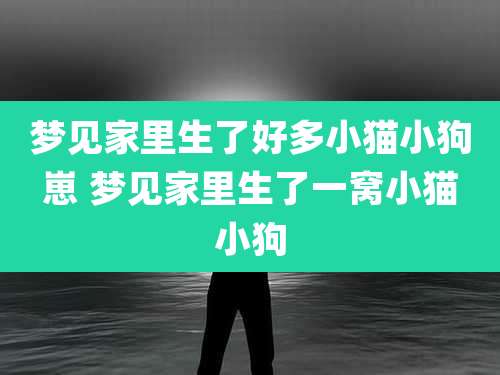 梦见家里生了好多小猫小狗崽 梦见家里生了一窝小猫小狗