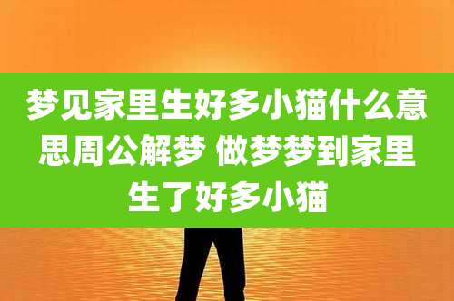 梦见家里生好多小猫什么意思周公解梦 做梦梦到家里生了好多小猫