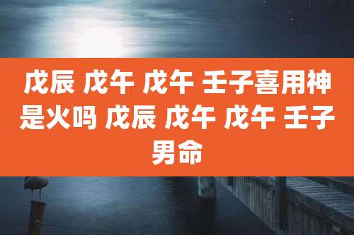 戊辰 戊午 戊午 壬子喜用神是火吗 戊辰 戊午 戊午 壬子男命