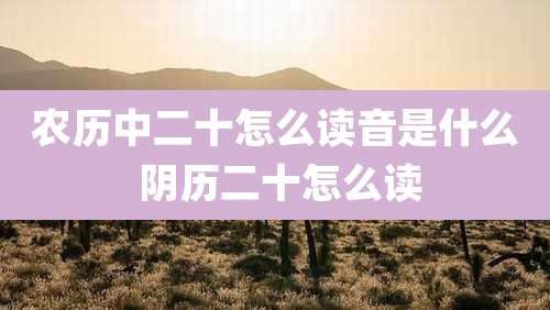 农历中二十怎么读音是什么 阴历二十怎么读