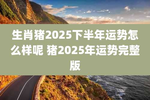 生肖猪2025下半年运势怎么样呢 猪2025年运势完整版
