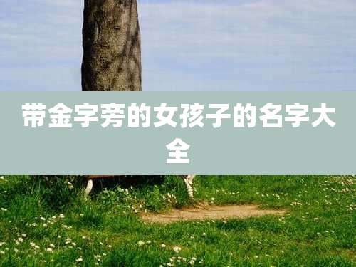 带金字旁的女孩子的名字大全