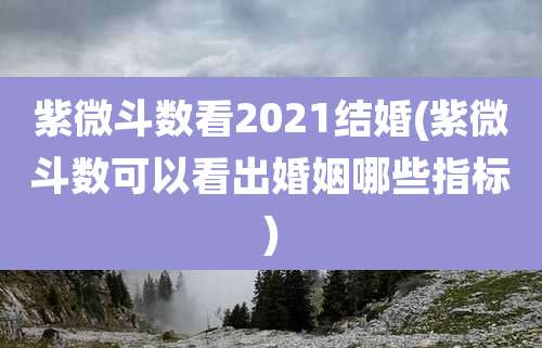 紫微斗数看2021结婚(紫微斗数可以看出婚姻哪些指标)