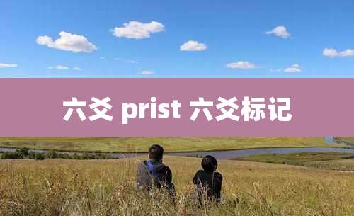 六爻 prist 六爻标记