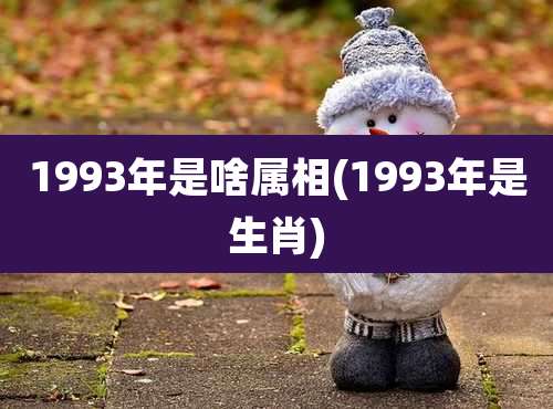 1993年是啥属相(1993年是生肖)