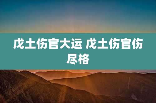 戊土伤官大运 戊土伤官伤尽格