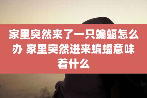 家里突然来了一只蝙蝠怎么办 家里突然进来蝙蝠意味着什么