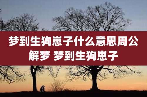 梦到生狗崽子什么意思周公解梦 梦到生狗崽子