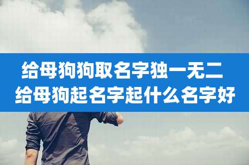 给母狗狗取名字独一无二 给母狗起名字起什么名字好