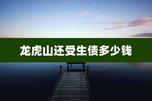 龙虎山还受生债多少钱